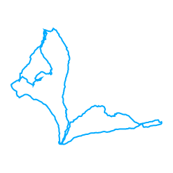 Dataset preview