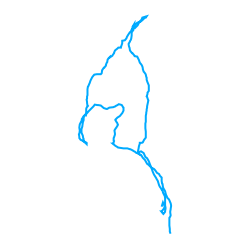 Dataset preview