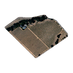 Dataset preview