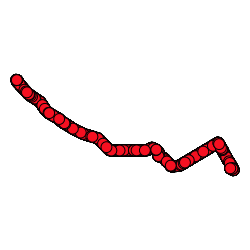 Dataset preview