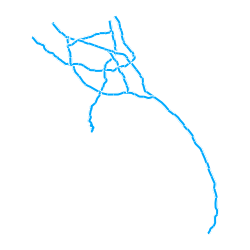 Dataset preview
