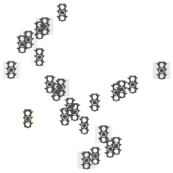 Dataset preview