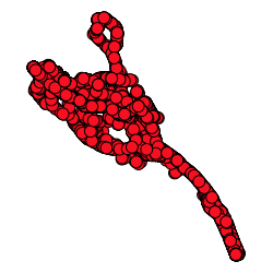 Dataset preview
