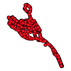 Dataset preview
