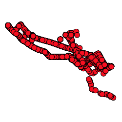 Dataset preview